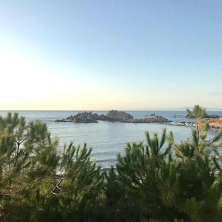 Al Belvedere - Poggio Azzurro *